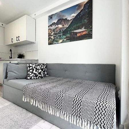 Apartament Goplanska Free Parking Self Check-In 24H Познан Екстериор снимка